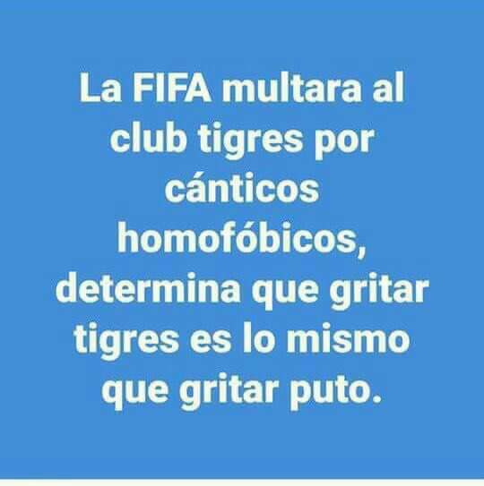 Los memes regios de la J4 - A2017