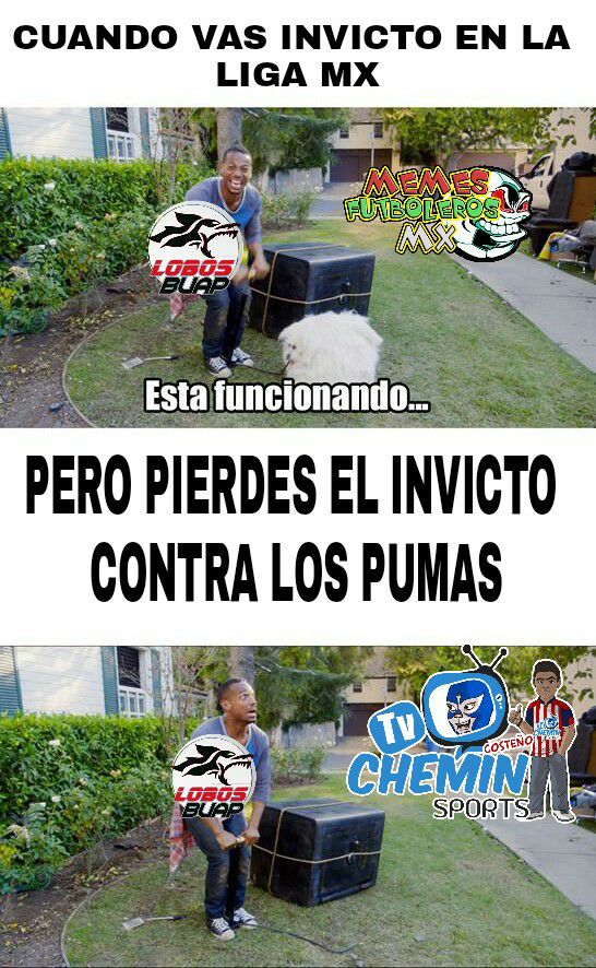Los mejores memes de la Jornada 4 del Apertura 2017 de la Liga MX.