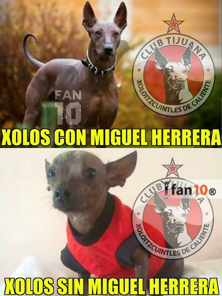 Los mejores memes de la Jornada 4 del Apertura 2017 de la Liga MX.