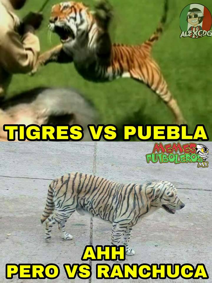 Los mejores memes de la Jornada 4 del Apertura 2017 de la Liga MX.