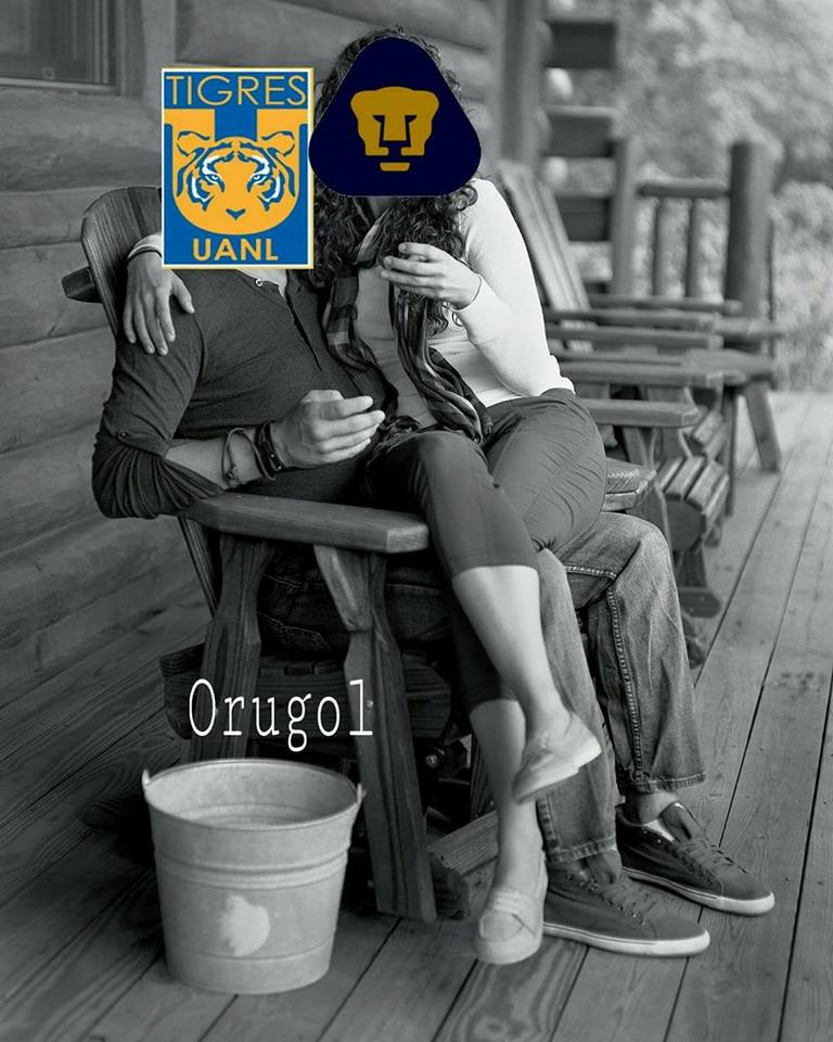 Pumas, solo lindos gatitos ante Tigres en los memes