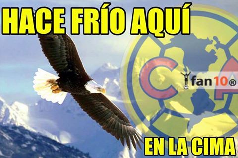 Chivas y Pumas fueron 'bulleados' en los memes de la J5