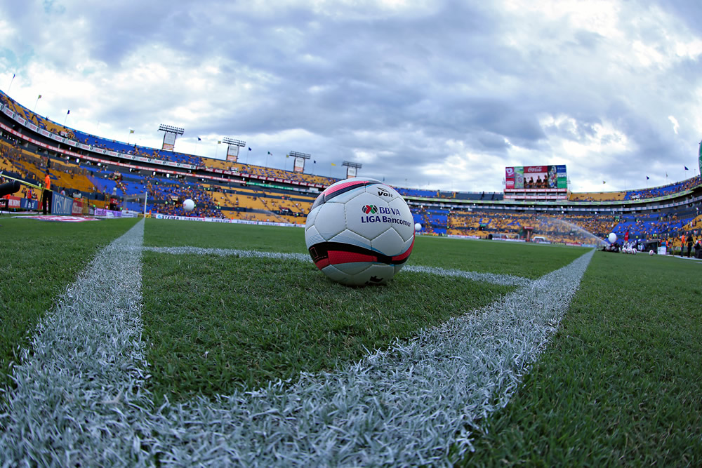 Con garras afiladas, Tigres se despachó al 'Benjamín'