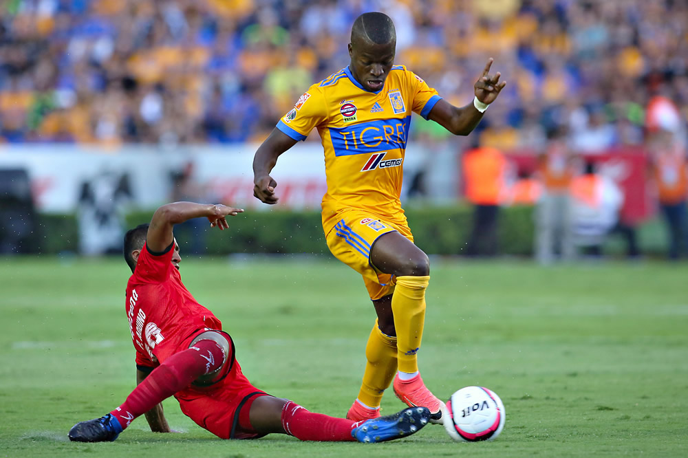 Con garras afiladas, Tigres se despachó al 'Benjamín'