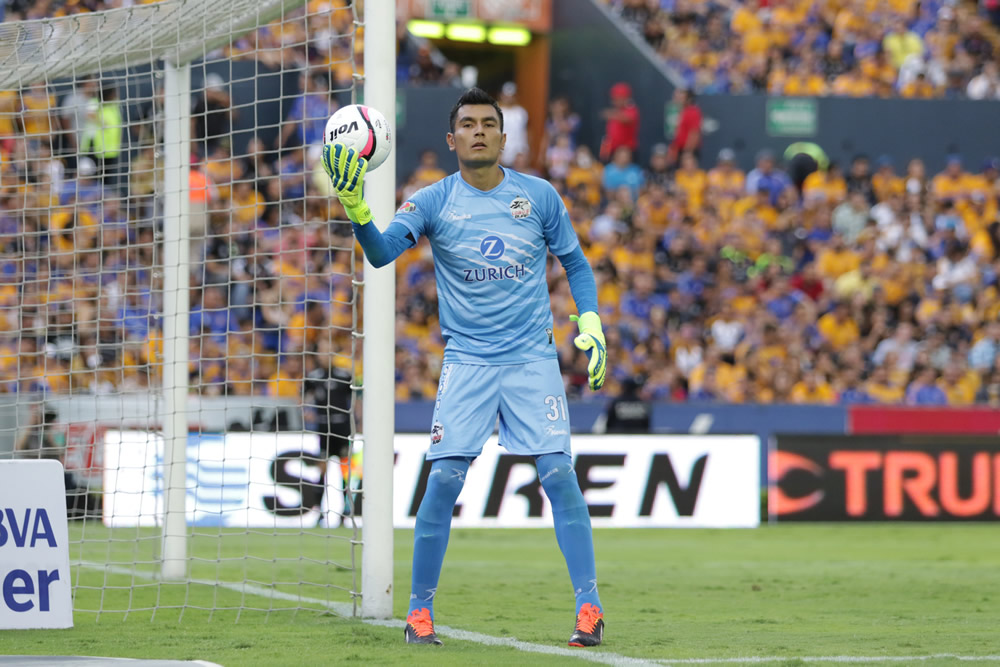 Con garras afiladas, Tigres se despachó al 'Benjamín'