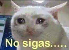 Aficiones de Tigres y Rayados, los líderes en memes