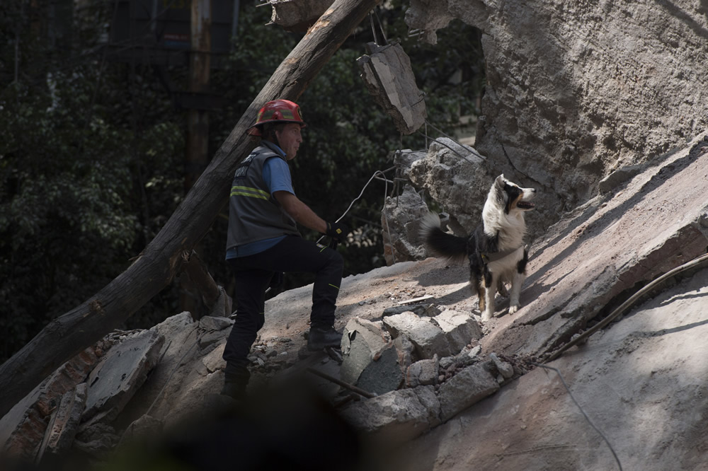 Las imágenes que dejó el devastador sismo