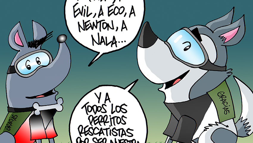 Una inspiración canina 