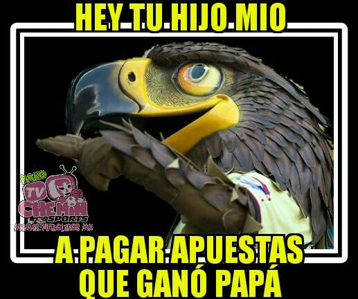 Mejores memes del clásico América 2-1 Chivas del Apertura 2017 de la Liga MX.