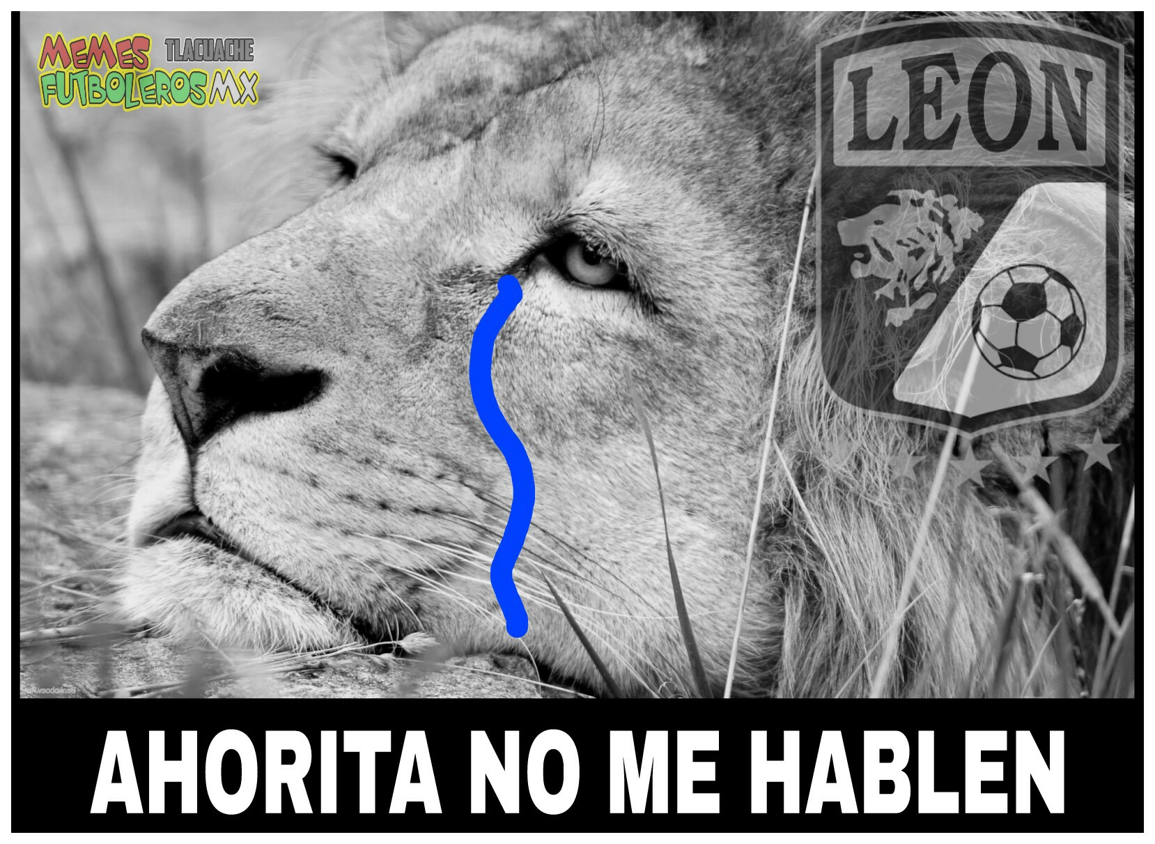 Los mejores memes de los cuartos de final del Apertura 2017 de la Liga MX.