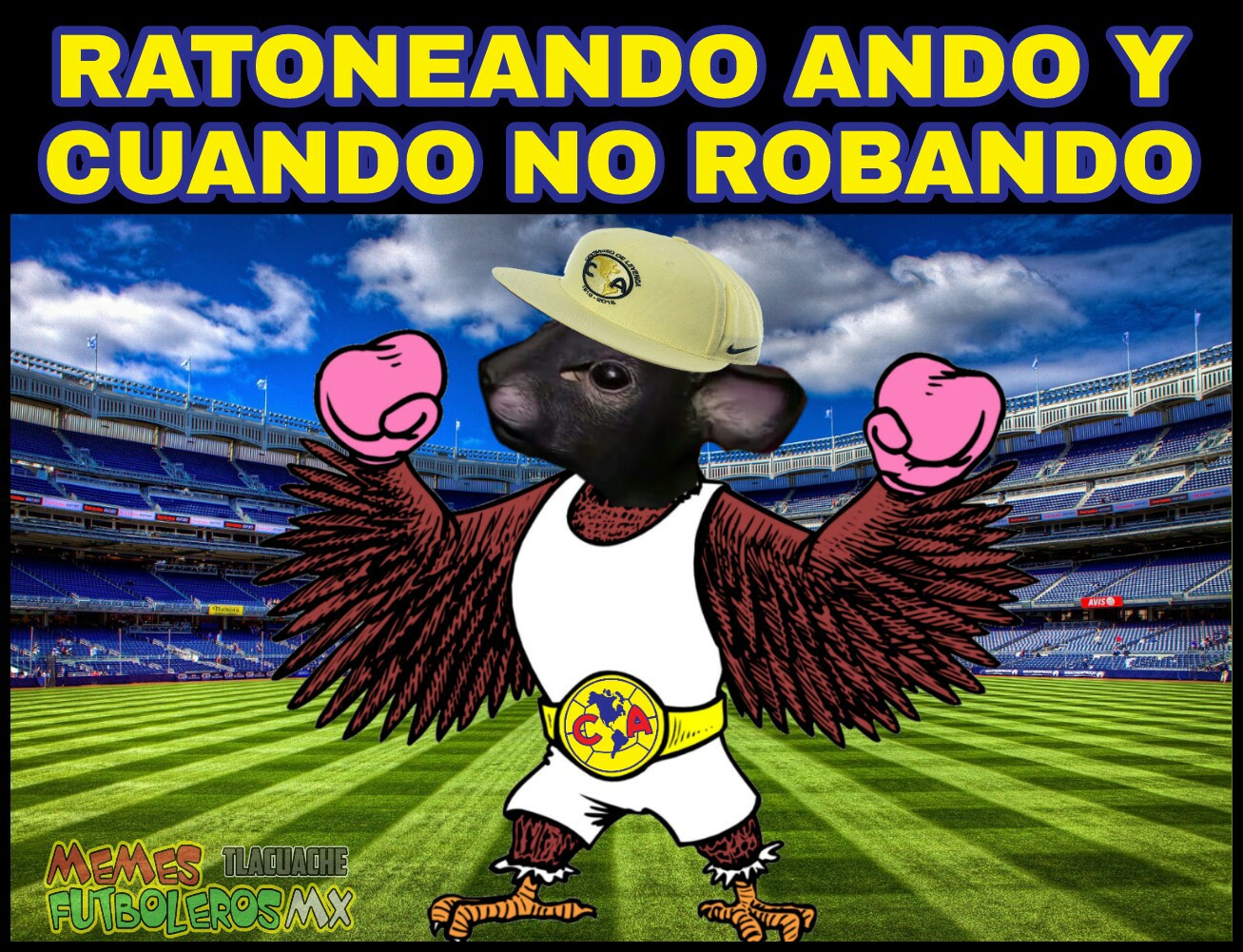 Los mejores memes de los cuartos de final del Apertura 2017 de la Liga MX.