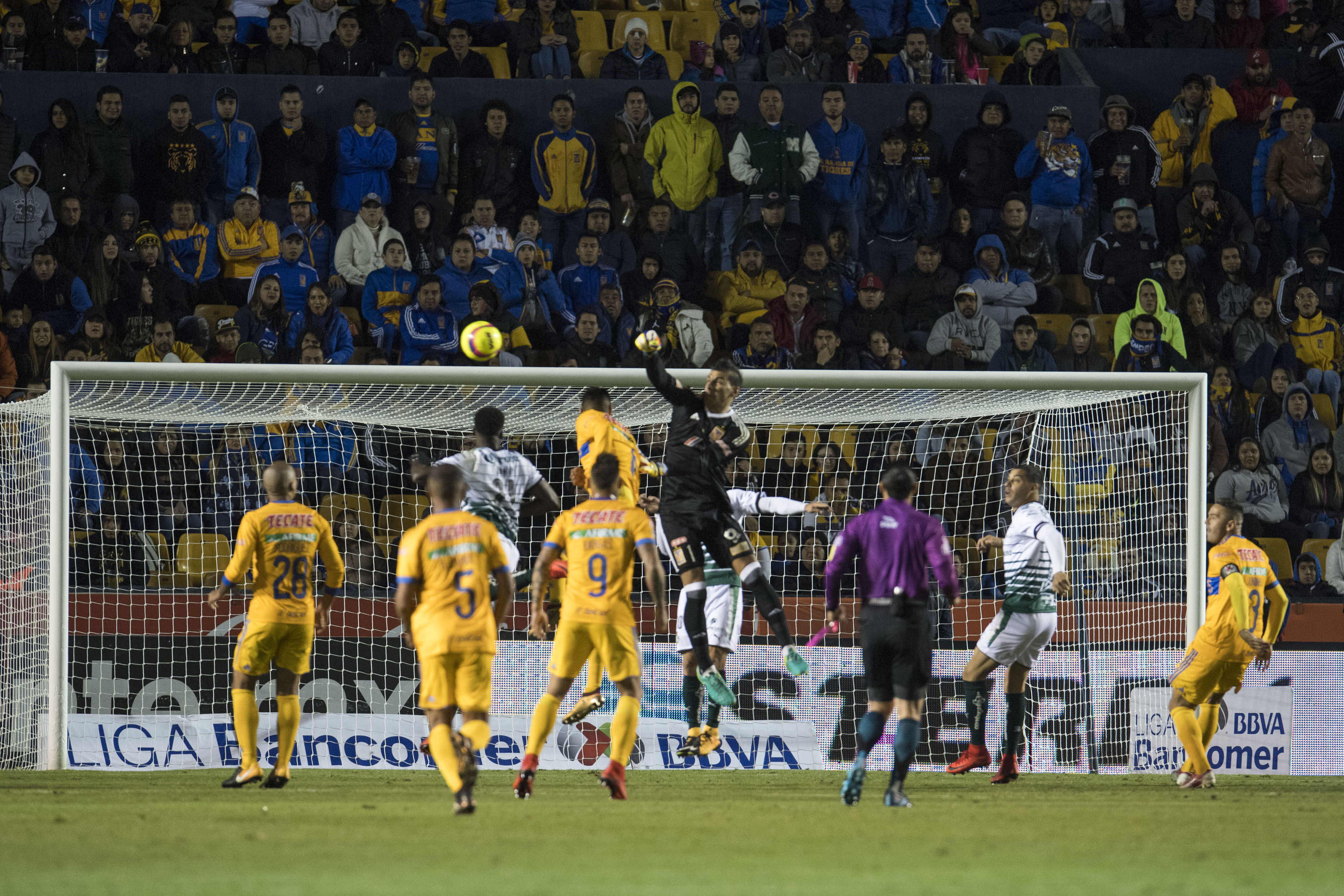 Tigres se presentó como campeón en casa