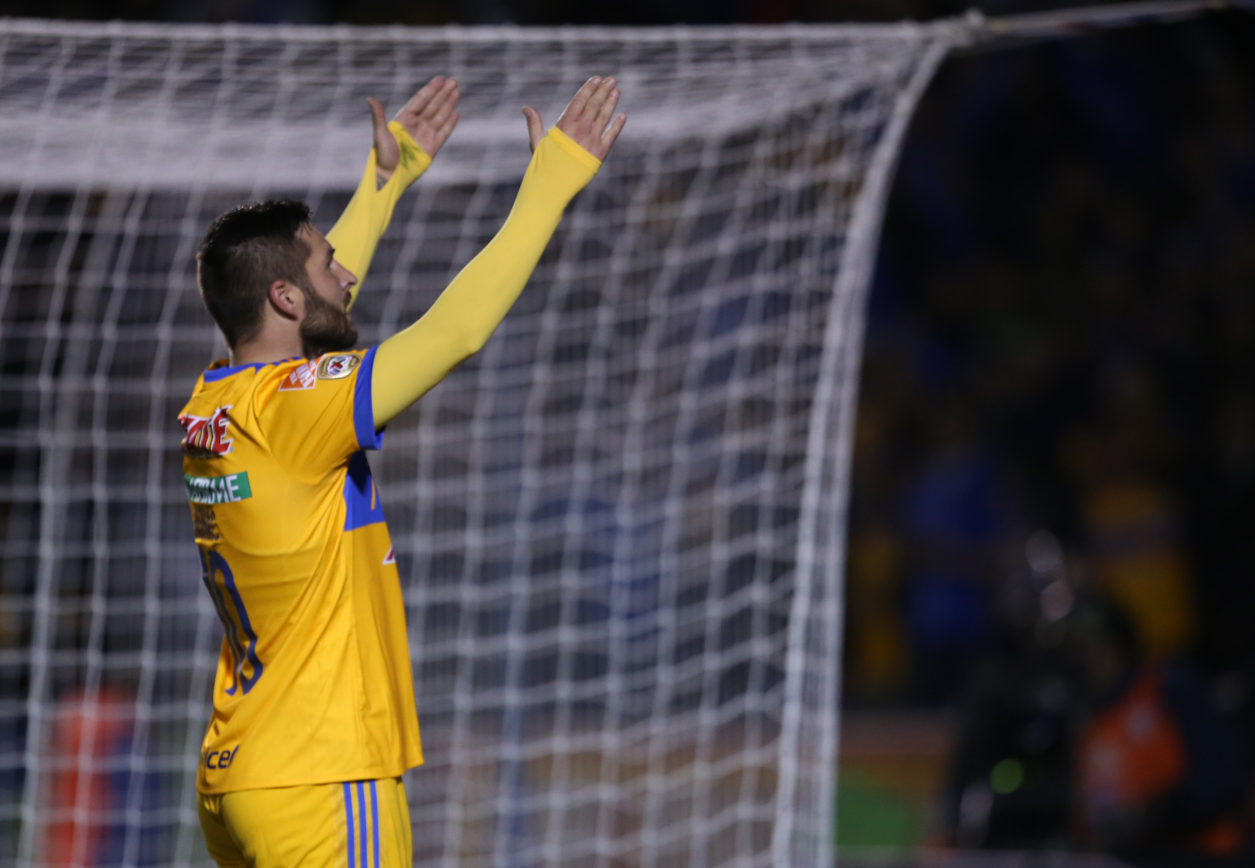  Tigres se presentó como campeón en casa