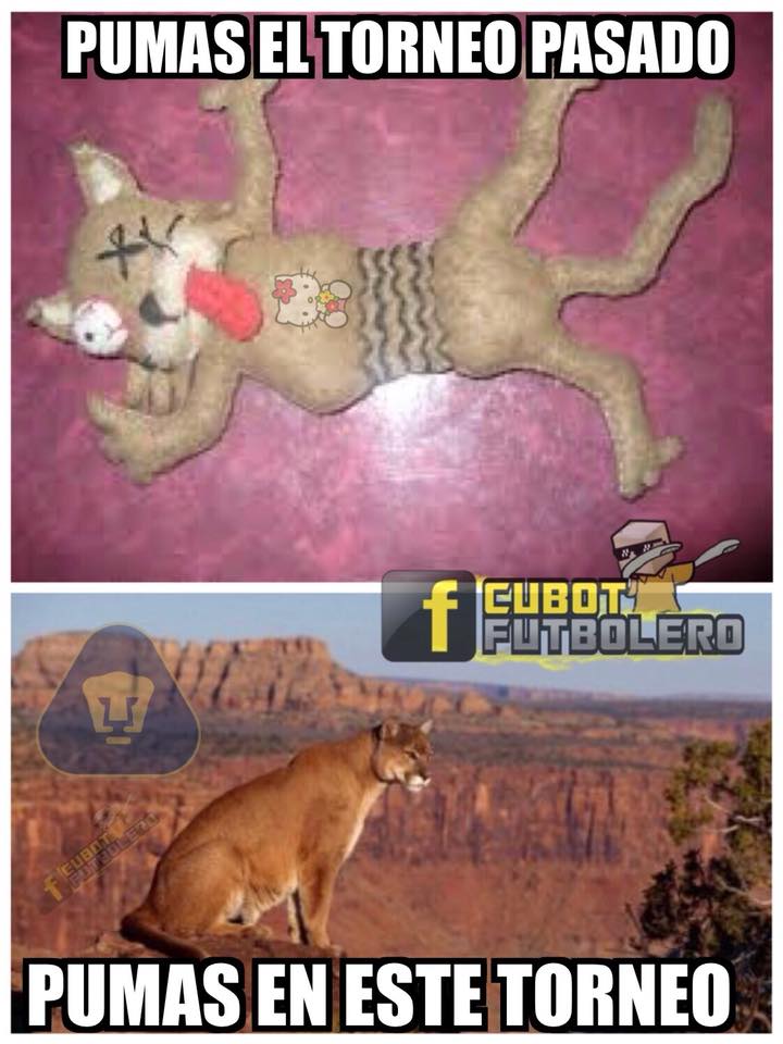 Los mejores memes de la Jornada 2 del Clausura 2018 de la Liga MX.