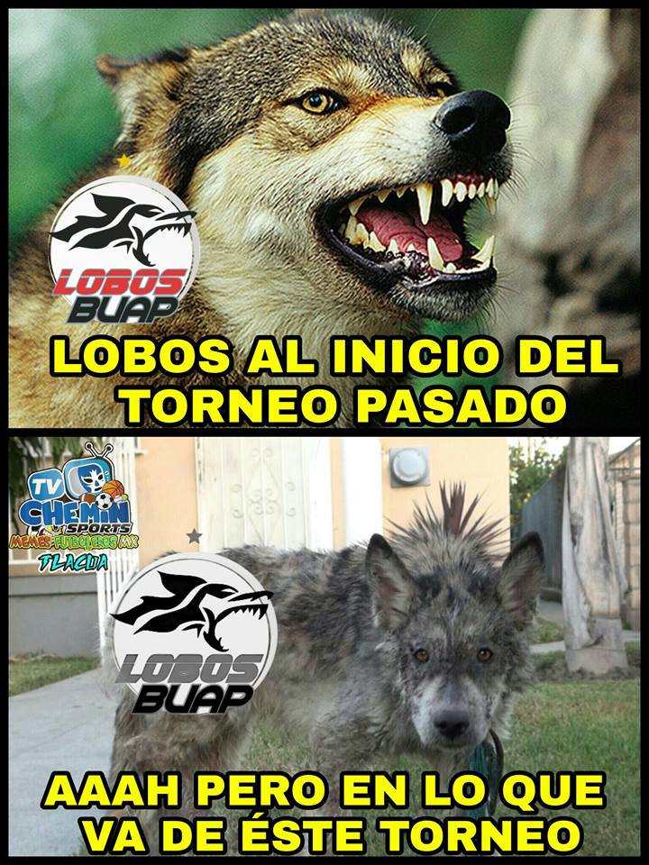 Los mejores memes de la Jornada 2 del Clausura 2018 de la Liga MX.