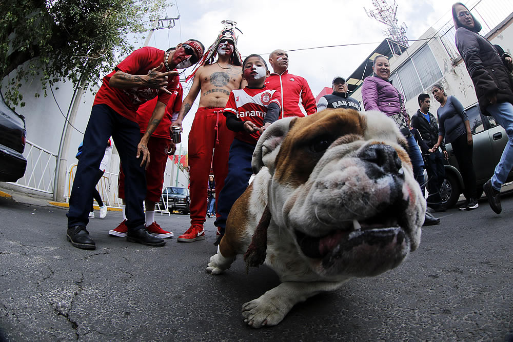 Barrientos y Mora fueron los autores en el Infierno para dividir puntos.