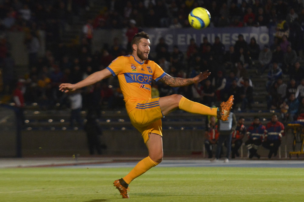 No hubo ni Lobo ni Tigre feroz en Puebla