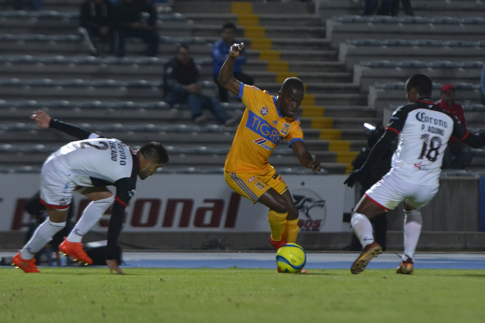 No hubo ni Lobo ni Tigre feroz en Puebla