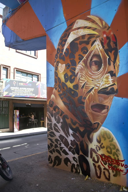 Lucha Libre invadió León.