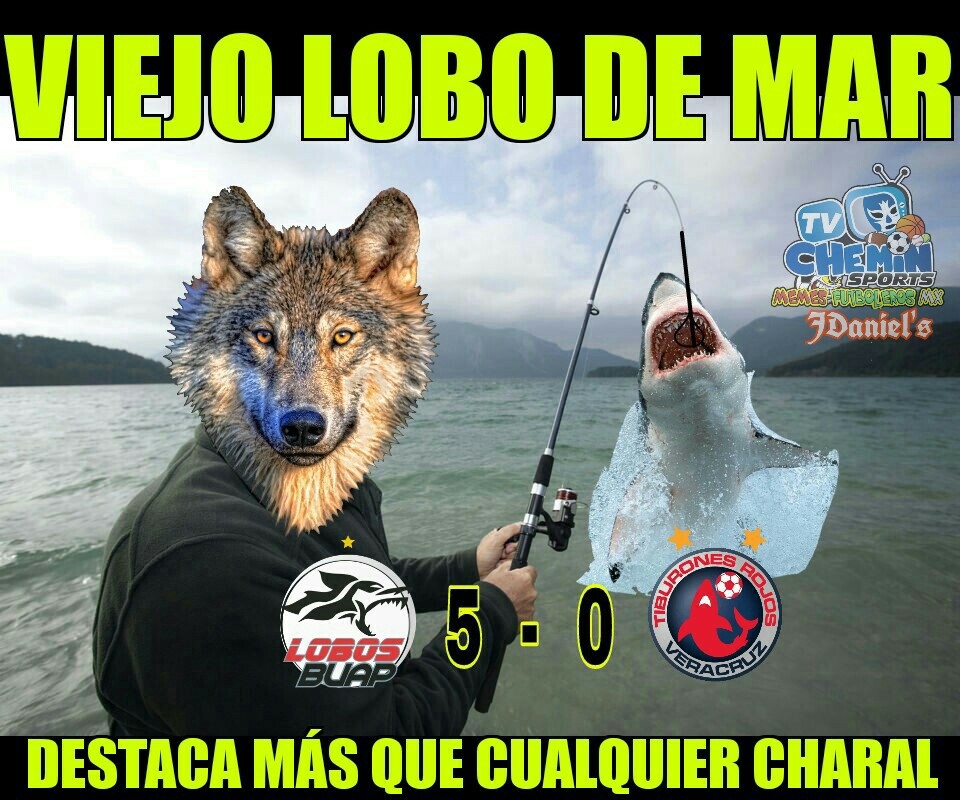 Galería: Memes de la Jornada 9 del Clausura 2018 de la Liga MX.