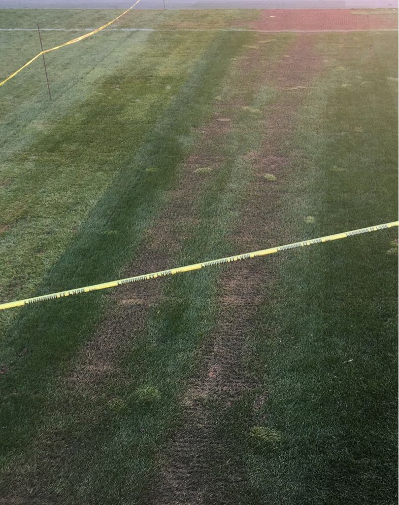 Así luce el césped del Estadio Akron