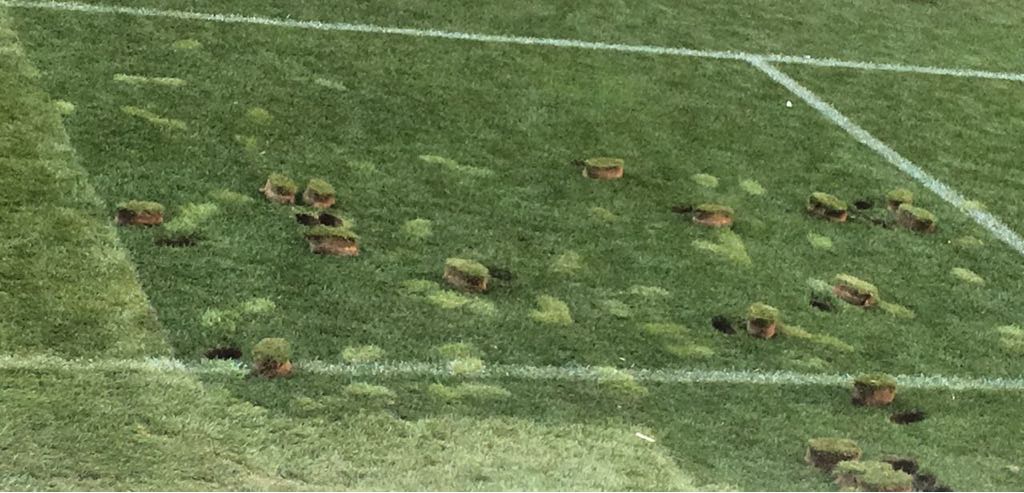 Así luce el césped del Estadio Akron