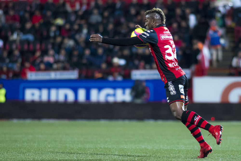 Los postes fueron aliados de Monarcas en Tijuana