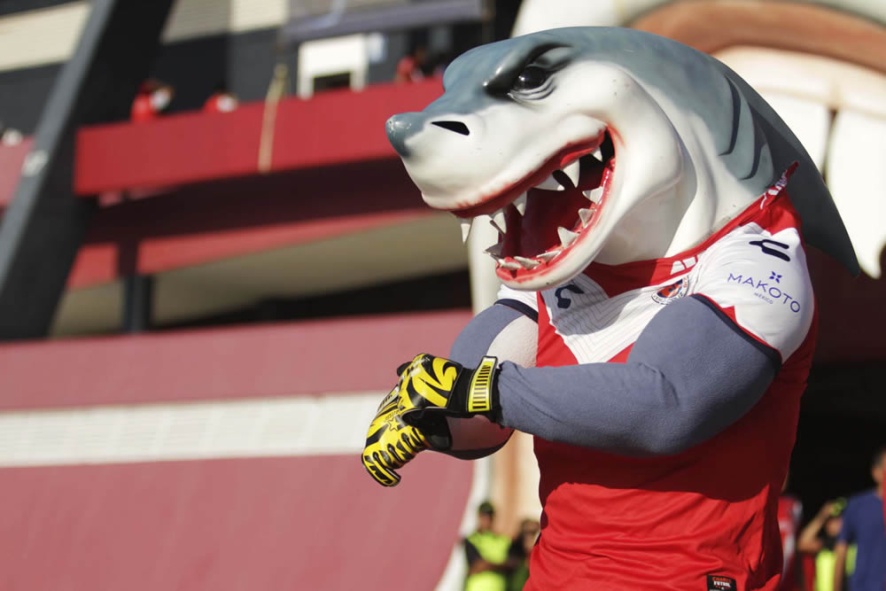 Las mejores postales del Veracruz vs. Atlas, duelo por el no descenso