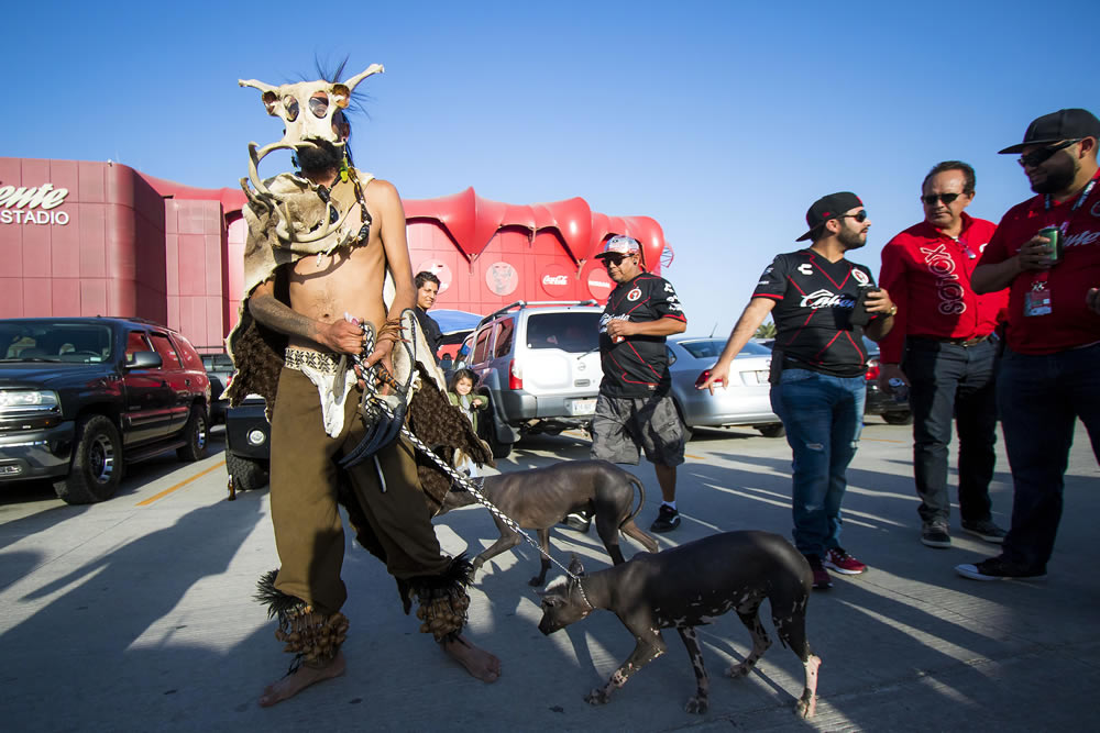 Los Xolos de Tijuana vencieron 3-0 a unas Chivas que prácticamente se despiden.