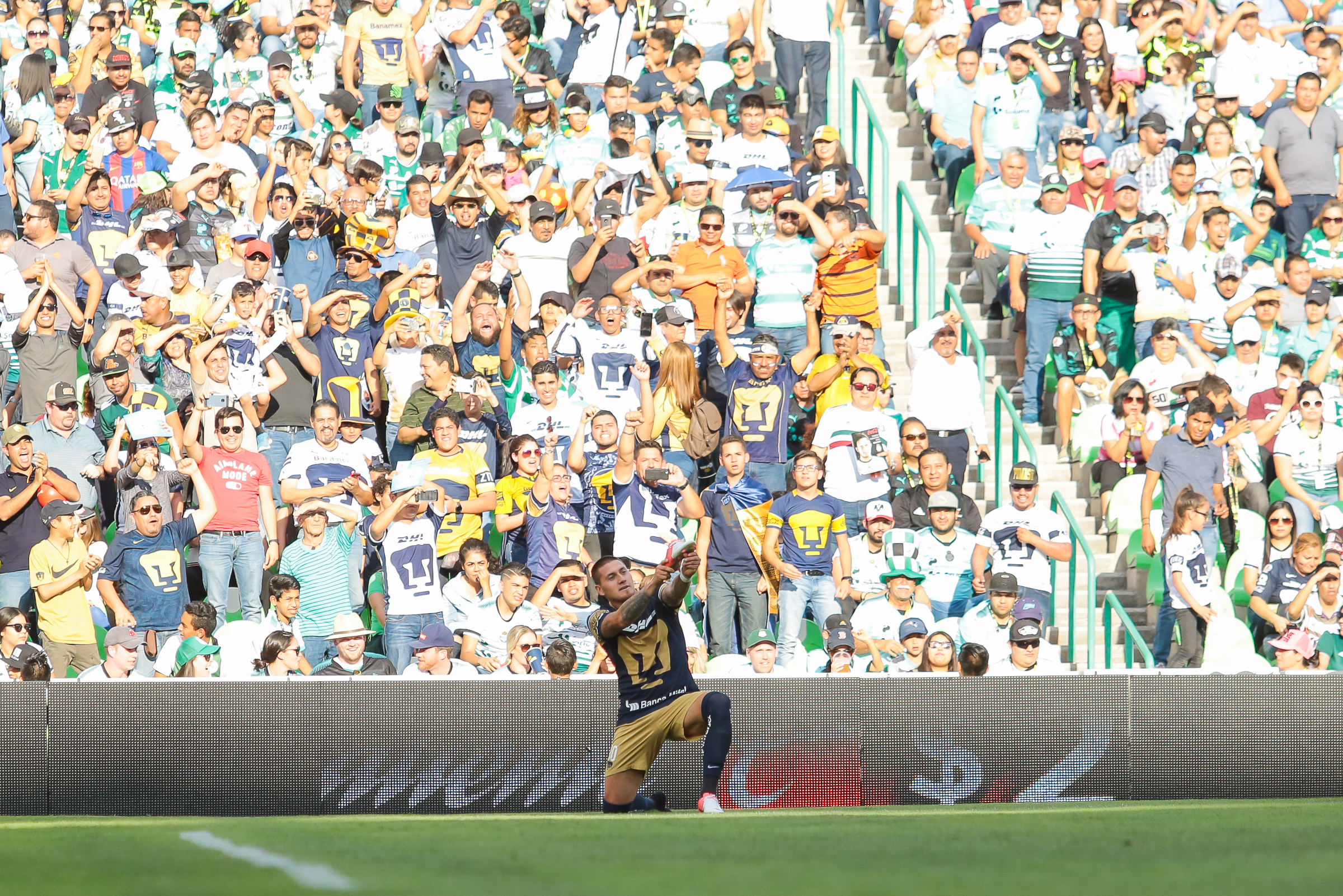 Las mejores postales del triunfo de Pumas ante Santos