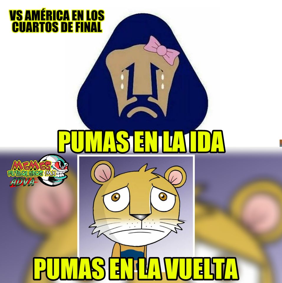 Memes América vs. Pumas y Rayados vs. Xolos de la Liguilla del Clausura 2018.