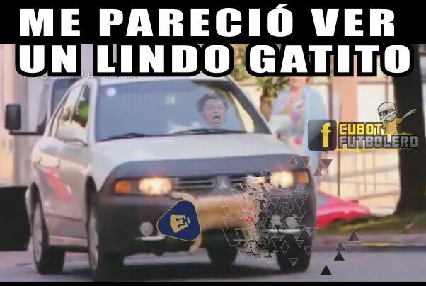 Memes América vs. Pumas y Rayados vs. Xolos de la Liguilla del Clausura 2018.