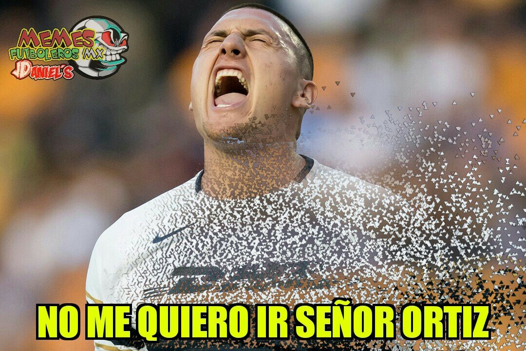 Memes América vs. Pumas y Rayados vs. Xolos de la Liguilla del Clausura 2018.