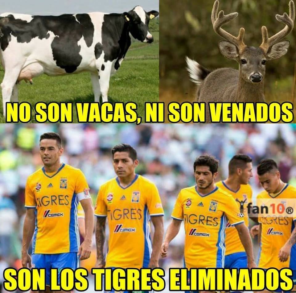 Memes: La eliminación de Tigres y Rayados en el Clausura 2018