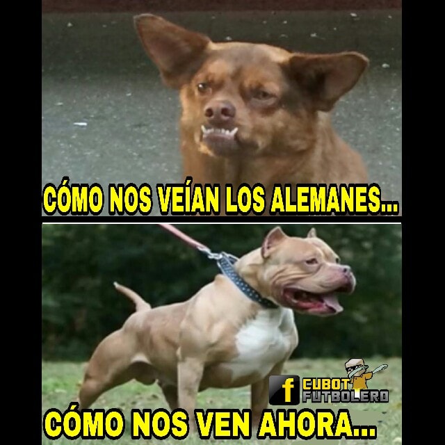 Los mejores memes del Alemania 0-1 México del Mundial Rusia 2018.