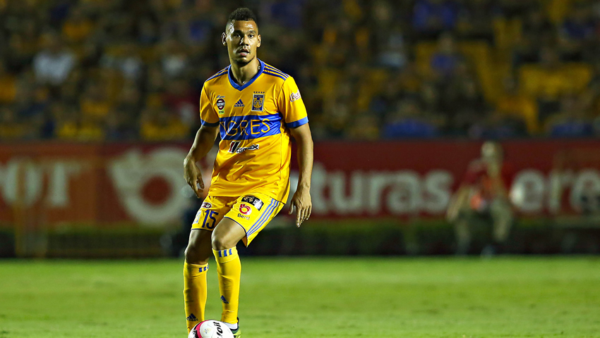 Tigres