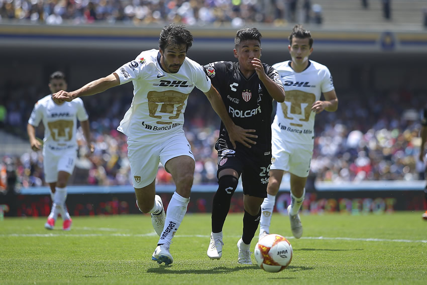 Liga MX: Pumas vs Necaxa, lo mejor en imágenes 