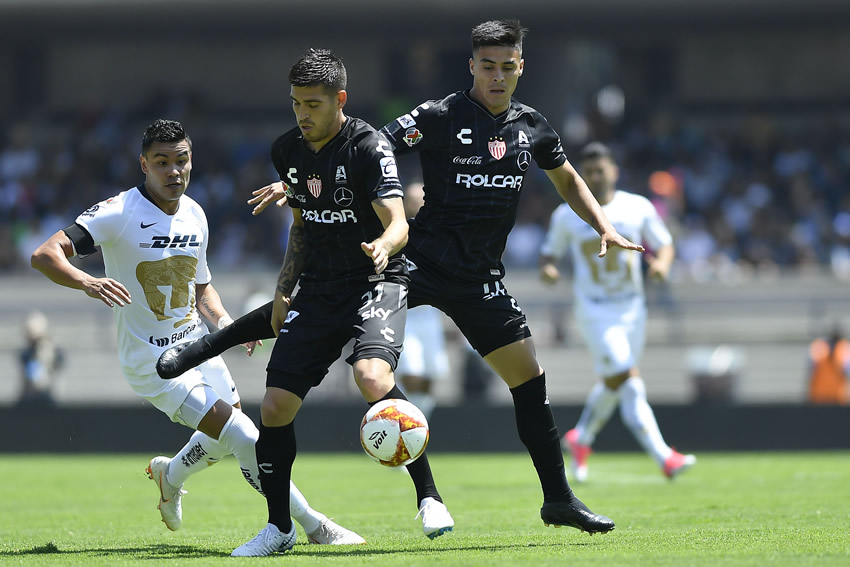 Liga MX: Pumas vs Necaxa, lo mejor en imágenes 