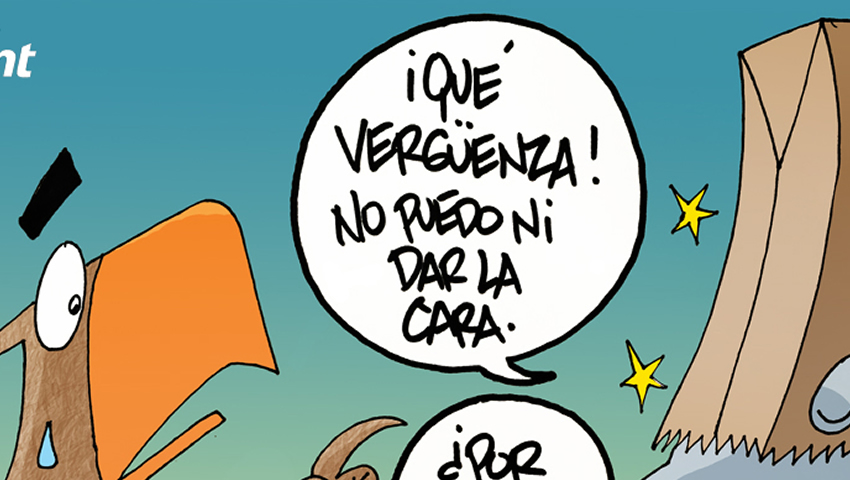 Vergüenza jarocha