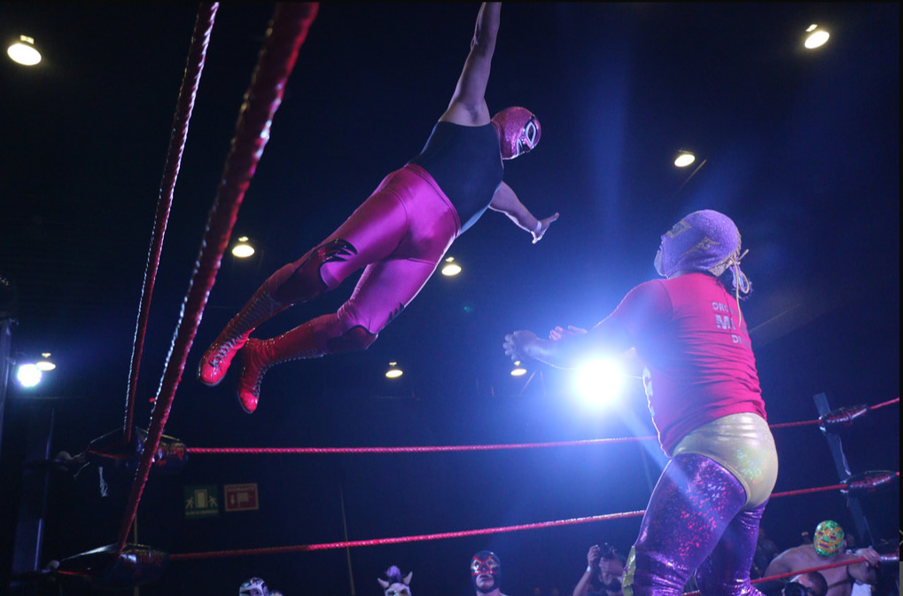 Museo Expo Lucha Lbre