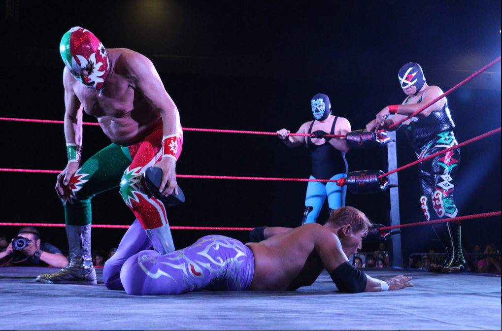 Museo Expo Lucha Lbre