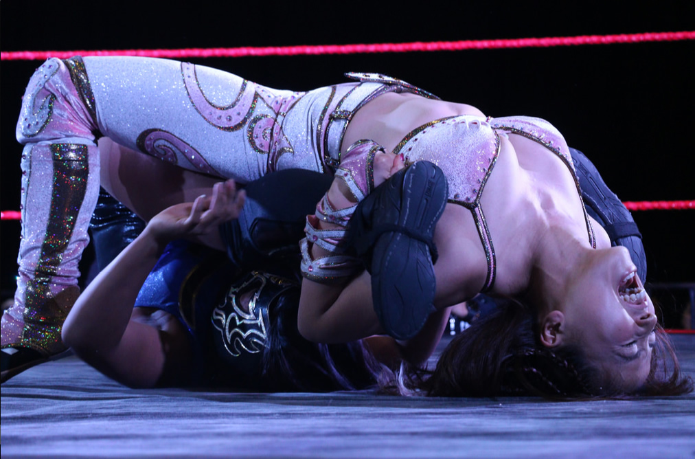 Museo Expo Lucha Lbre