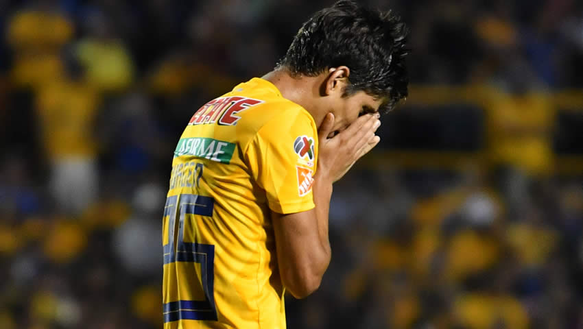 Jürgen Damm, Tigres