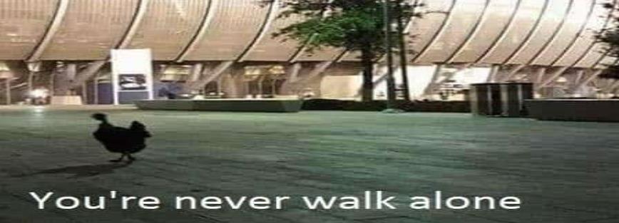 La gallina, el terror de Rayados en su casa y en los memes