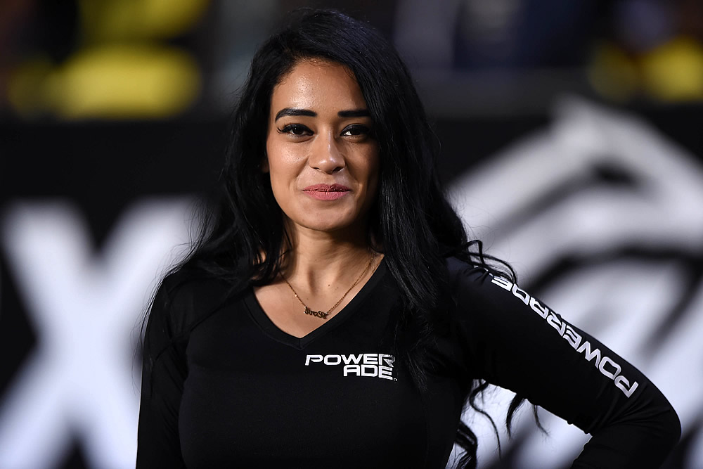 Con dos zarpazos, Tigres frenó a Monarcas en su casa... La Galería