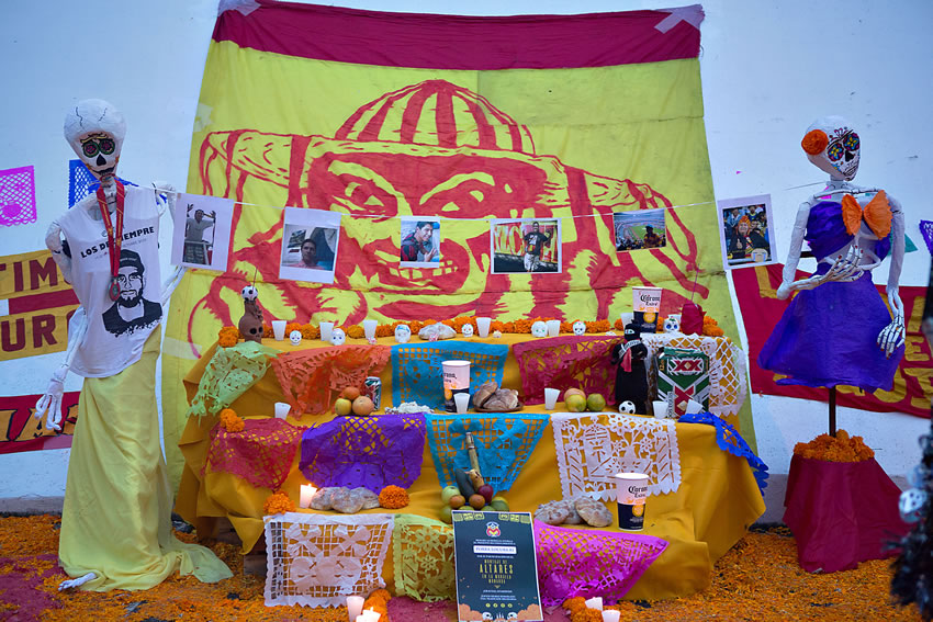 Con dos zarpazos, Tigres frenó a Monarcas en su casa... La Galería