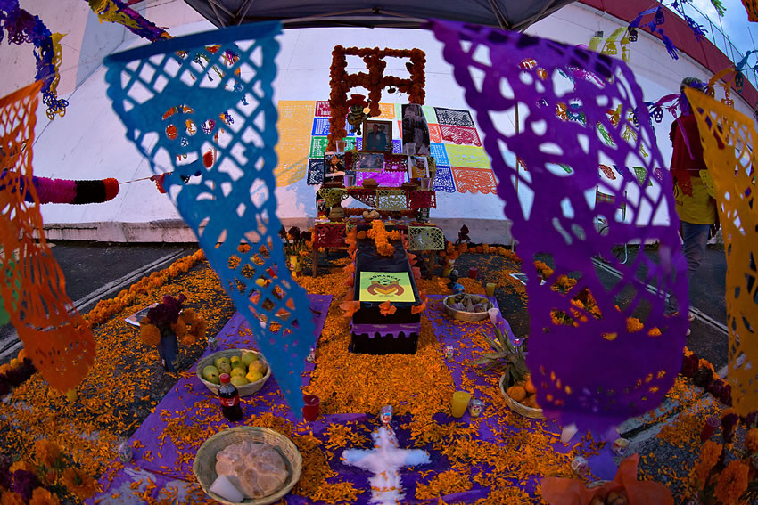 Con dos zarpazos, Tigres frenó a Monarcas en su casa... La Galería