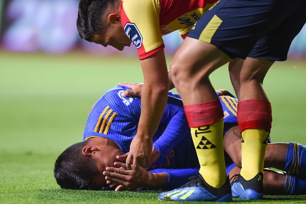 Con dos zarpazos, Tigres frenó a Monarcas en su casa... La Galería