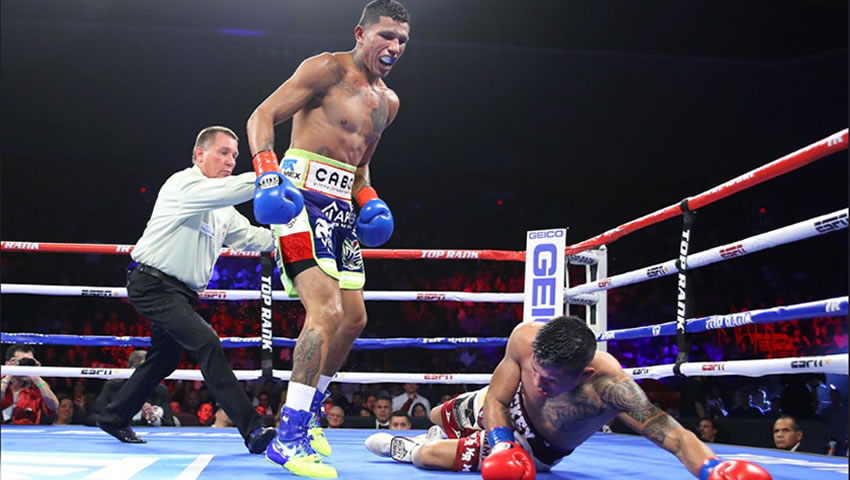 Alacrán buscará a campeones de la FIB, AMB y OMB.