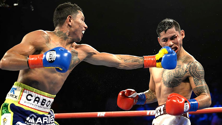 Berchelt da KO a Mickey Román Boxeo